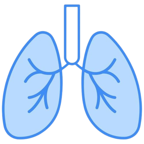 Respiratory